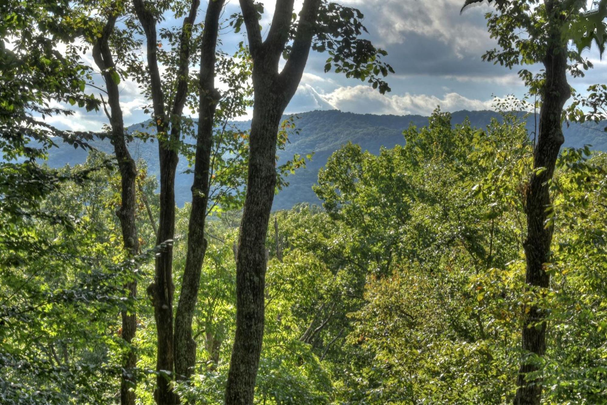 Bearfoot Ridge Wood-Burning Fireplace Cozy Hot Tub Serene Views Ellijay Exterior photo